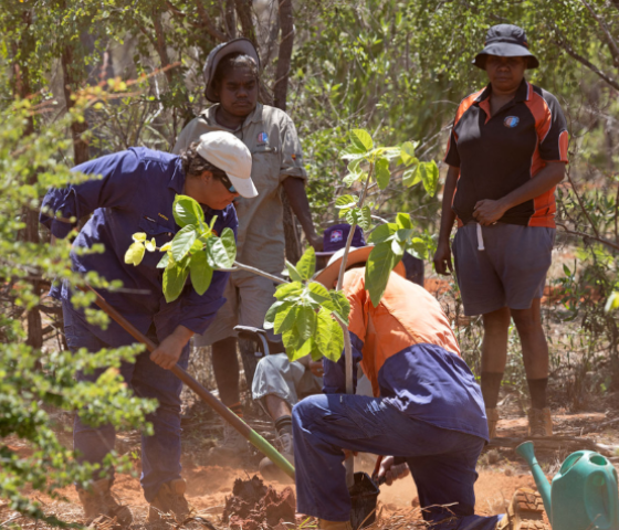 Students digging soil in the bush 