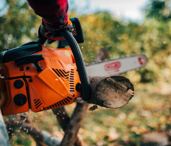 chainsaw, course, study, tafe